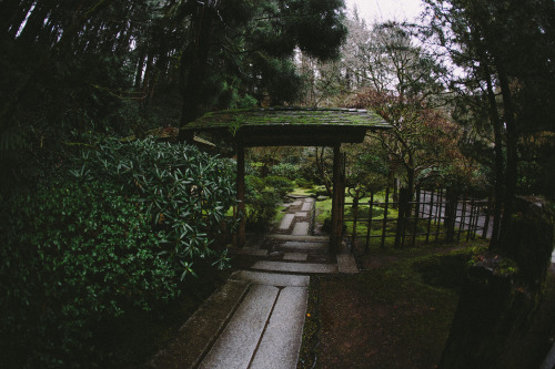 talltalememory: Portland Japanese Garden