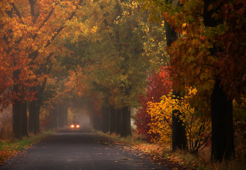 autumncozy: By Mirek Grobelski