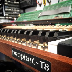 waveformless:  Prophet T8 on the bench. Available soon from Waveformless! #Waveformless #synthshop #sequentialcircuits #prophett8  (at Waveformless)