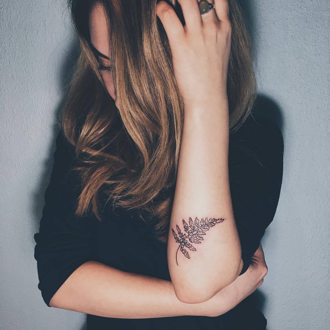 30+ Best Fern Tattoo Design Ideas: What Is Your Favorite | Fern tattoo,  Shoulder blade tattoo, Tattoos
