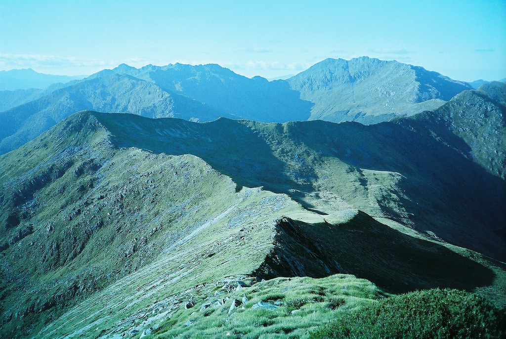 plizm:  Travels in New Zealand, 2010Sundry Sullen