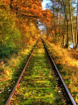 Bluepueblo:  Autumn Rail, Bavaria, Germany Photo Via Diwi 