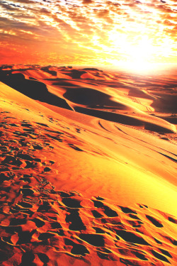 wavemotions:  The Dune