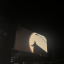 moonsongsloverr