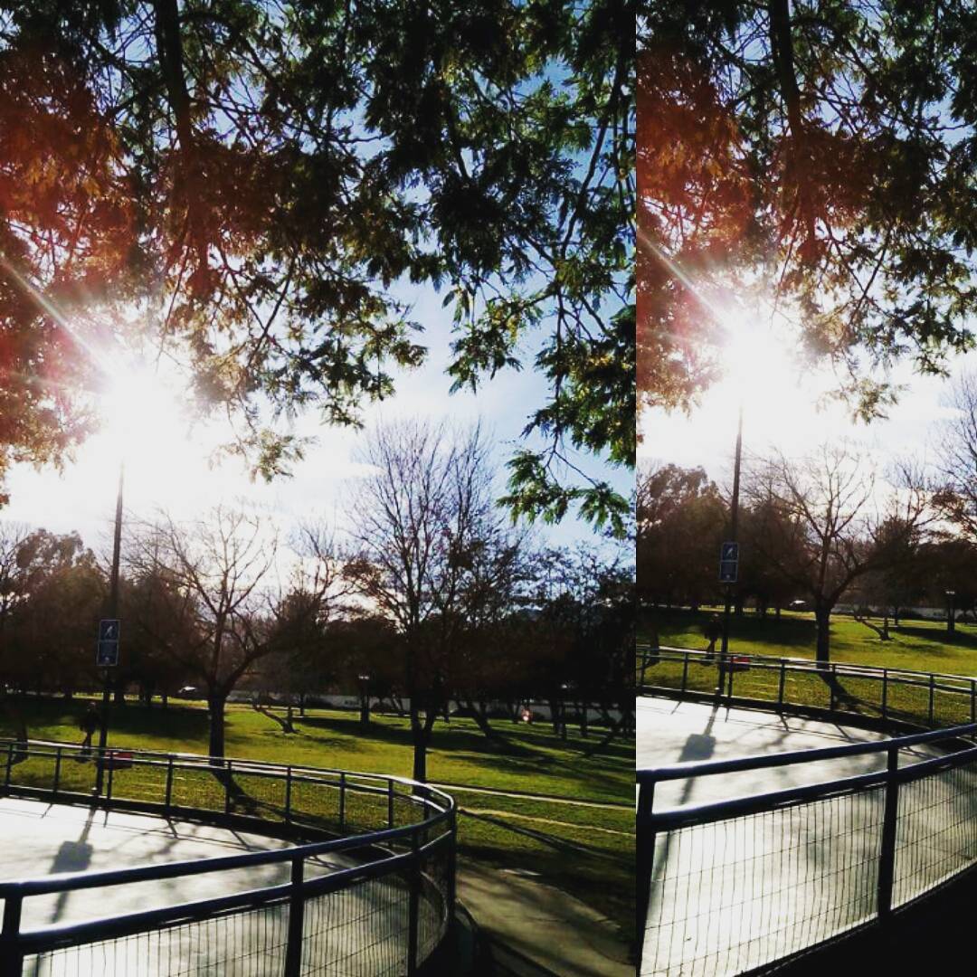 Naturaleza &lt;3  (en Parque Los Dominicos,Las Condes)