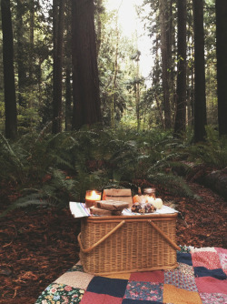 guidetrainlove:  northerncheek:  can we go on a picnic sometime daddy? read on a blanket under the trees perhaps?  Sounds like a very large slice of heaven to me