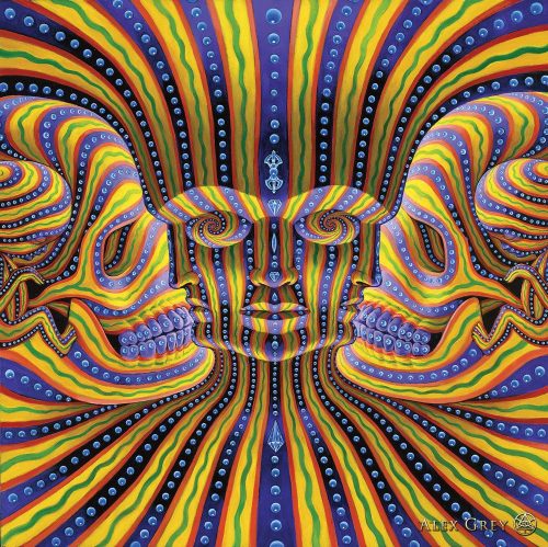 Psychedelevangelist