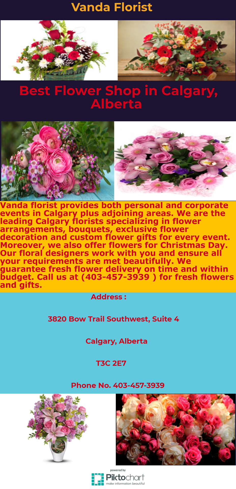 Vanda Florist Local Calgary Flower Shop Best Flower Shop In Calgary Offers Fresh Same Day