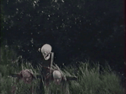 https://69.media.tumblr.com/23e167685f69f5e5dd48c1aa9068e87c/tumblr_nt1kihgoMy1r5dduso1_500.gif