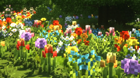 mysticgroves: flower field 🌼