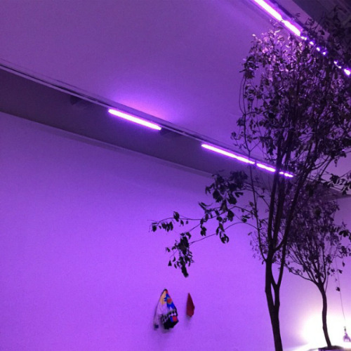 eyediz: Krystal + light