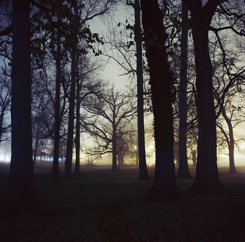 foggy night at druid hill