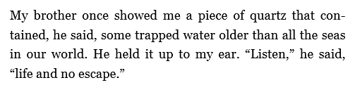 sappho1993:  ramenuzumaki:  Amazing. This is ten thousand year old water trapped inside of a polished quartz crystal.  (Source: 1•2•3)  Anne Carson, Plainwater: Essays and Poetry 