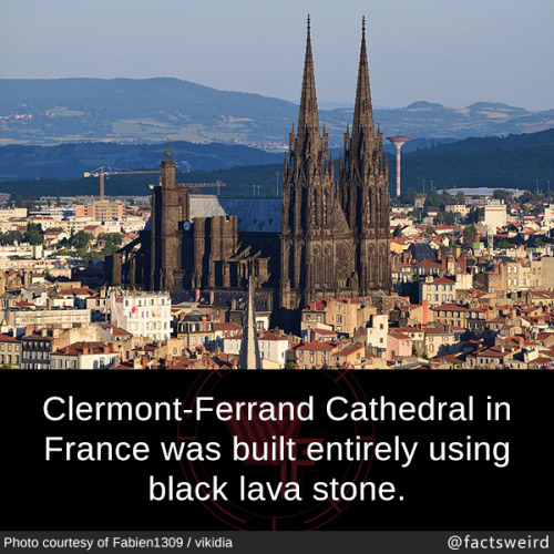 mindblowingfactz:  Clermont-Ferrand Cathedral in France was built entirely using black lava stone.Photo : Fabien1309 / vikidia