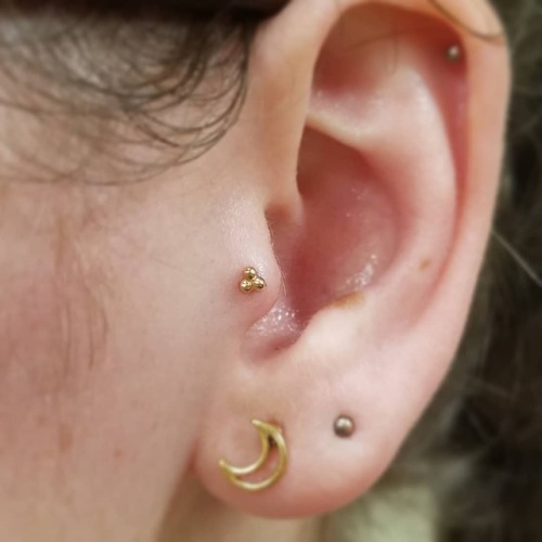 Little #rosegold tribead from @anatometalinc for this fresh #tragus. . . . . #safepiercing #bodypi