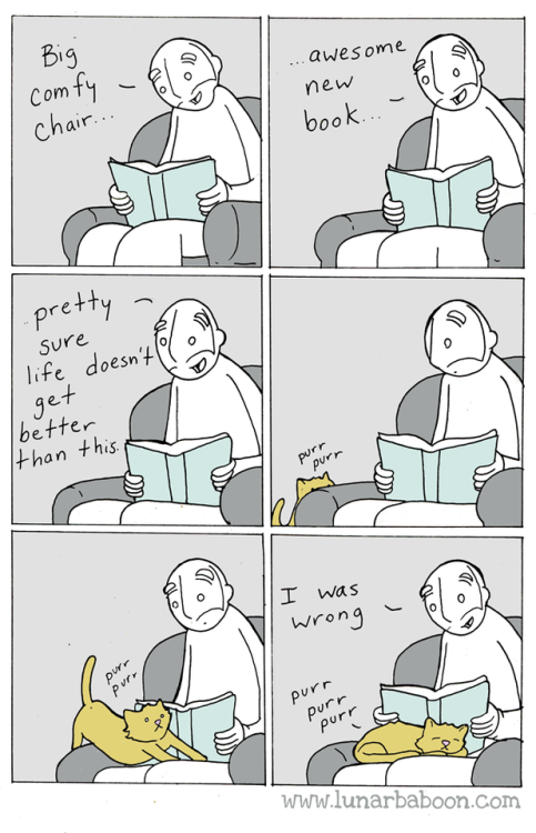 archiemcphee:  Reading is awesome, but Lunarbaboon knows that it gets even better as soon as a cat decides to keep you company.