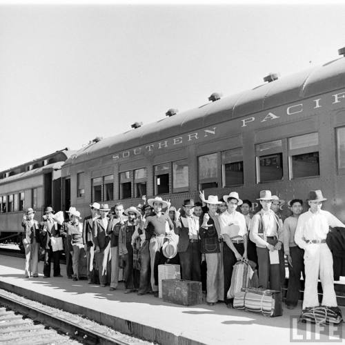 Mexican farm workers arriving to pick crops during World War II(J.R. Eyerman. 1942)