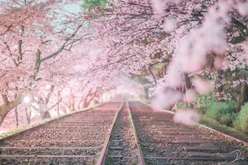 tanuki-kimono:  Four seasons on an abandoned railway, by  @usalica Original title uses the expression “shunkashuto” (春夏秋冬, lit  “spring, summer, autumn and winter”), which is a yojijukugo - a 4 kanji expression - which reads simply as