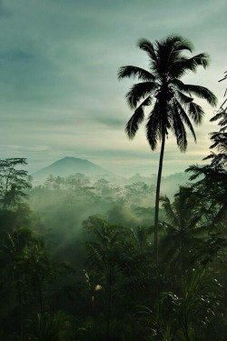 stability:  Jungle in Bali [via/more] 