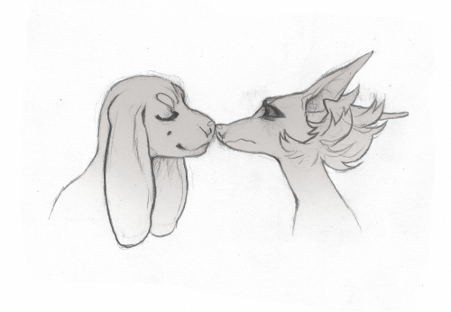 There's A Special Pain That Comes From Not Knowing How To Make Your Long-snouted Dog People Kiss Properly.