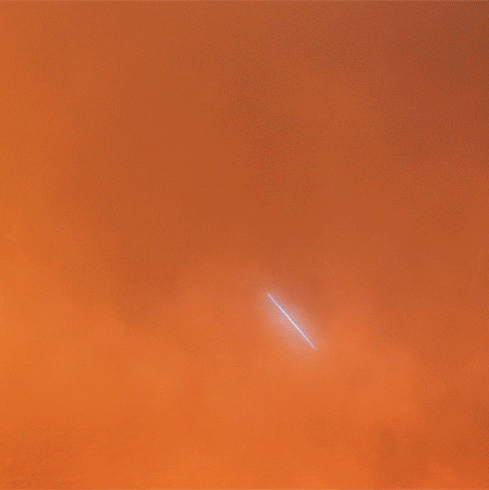  𝐿𝑖𝑣𝑒 𝑜𝑟 𝐷𝑖𝑒