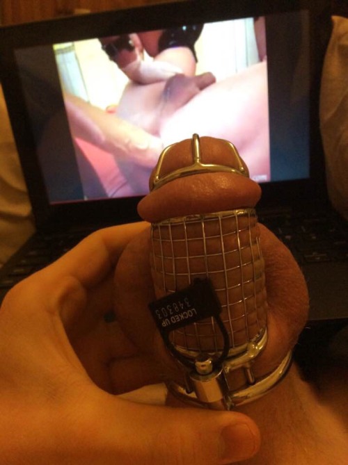 mistress-dakota:  Making him watch porn after a week and a half of being locked up. (Notice how much his cock fries in the cage) ~mistress Dakota~ 