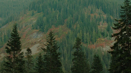 cinemawithoutpeople: Television without people: Twin Peaks (Season 3, Episode 10) (David Lynch, dir.