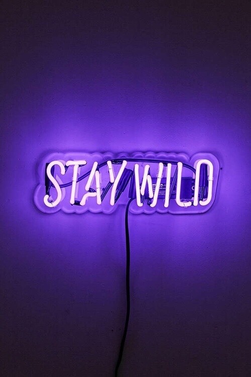 violetellipse: Stay Wild