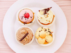 kawaii-i:  Cupcakes - by Sancty Yumi    