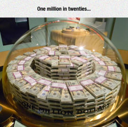 srsfunny:  One Million Dollars At The Money Museum in Chicagohttp://srsfunny.tumblr.com/