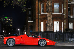 alexpenfold:  Enzo. on Flickr.