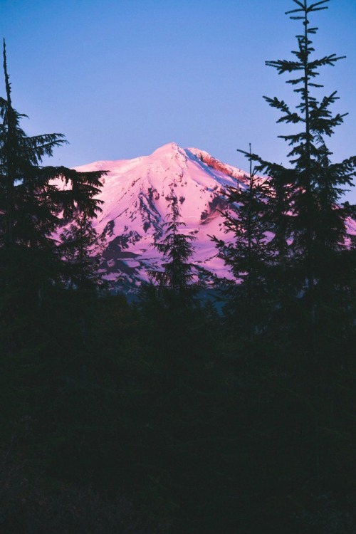 adventureovereverything:Perfect sunset over Mount Adams in Washington. We watched the sun go down, h