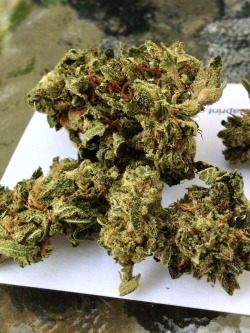 thc-thehappychemical:  Picked up a hq of this delicious kush