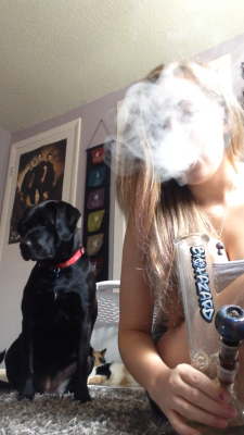 The-Stoner-Sage:  Smoking With My Puppy And My Kitten :3 Aw Omg So Perf