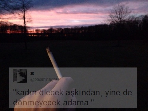 pekiozamaan:(via Tumbling)