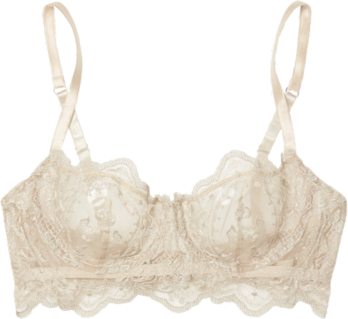 transparent-lingerie: i.d. sarrieri balconette bra (£250)