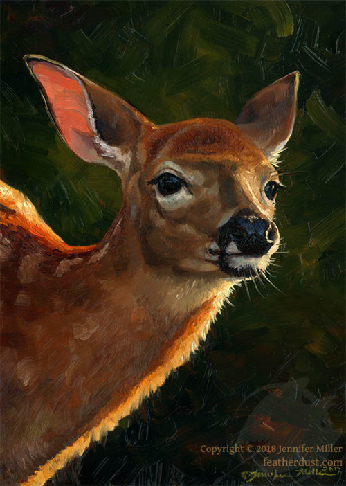  Not-birds? What?!“New Light”, White-tailed Deer Fawn (5"x7"), and “Velv