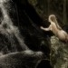 7h3g3n3r4l:Communion by Kevin Stiles (A) and MaryCeleste (M)