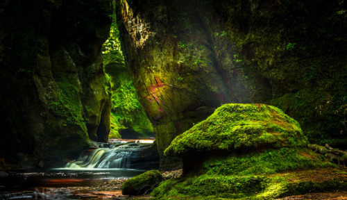 Moss heaven! The Devil&rsquo;s Pulpit, Finnich Glen. Scotland. Photo by Neil Barr.