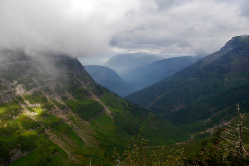 90377:Glacier National Park: Highline Trail View by Ang