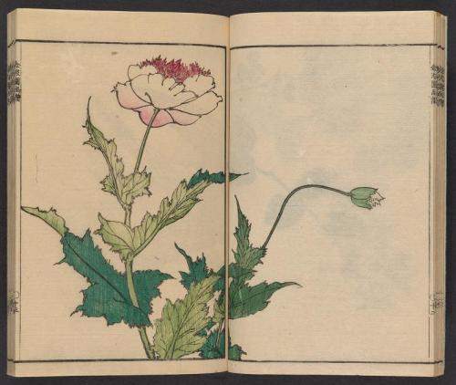 heaveninawildflower: ‘Kinpaen gafu’ by Bunpō Kawamura (Japanese, 1779-1821).  Publ