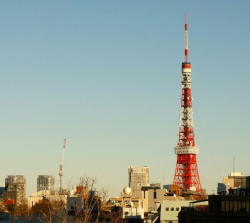 harajukuking:  Tower of Tokyo (by Leo Kuranaga)