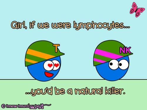 immense-immunology-insight: T cell: We are just two lymphocytes but we have so much in common, 