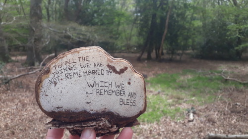 Epping Forest, London, April 2022Artist’s fungus (Ganoderma applanatum)I made this for my fiance, wh