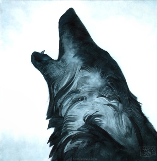 itscolossal:Artist Adam S. Doyle Utilizes Simplified Brushstrokes to Organically Conjure Animals to the Blank Page