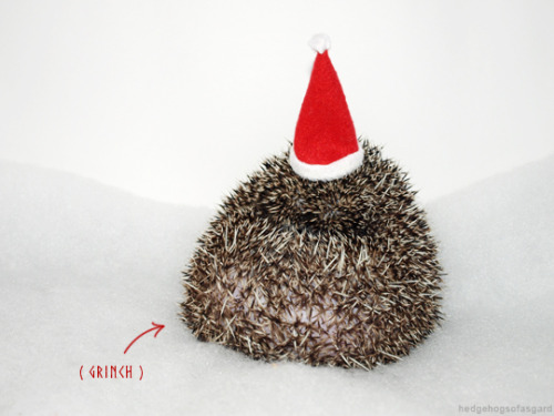 hedgehogsofasgard: Happy holidays everyone!