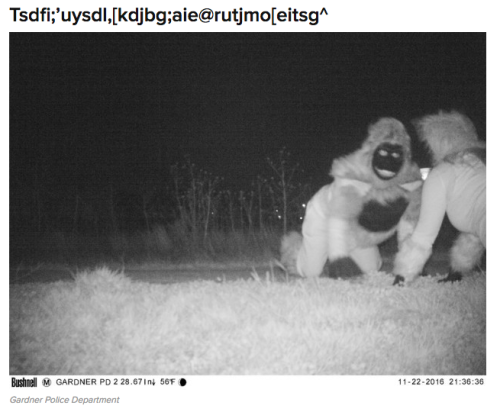 harvestown: fat-mabari: buzzfeed: weirdbuzzfeed: Police Set Up A Camera In Kansas To Find A Mountain