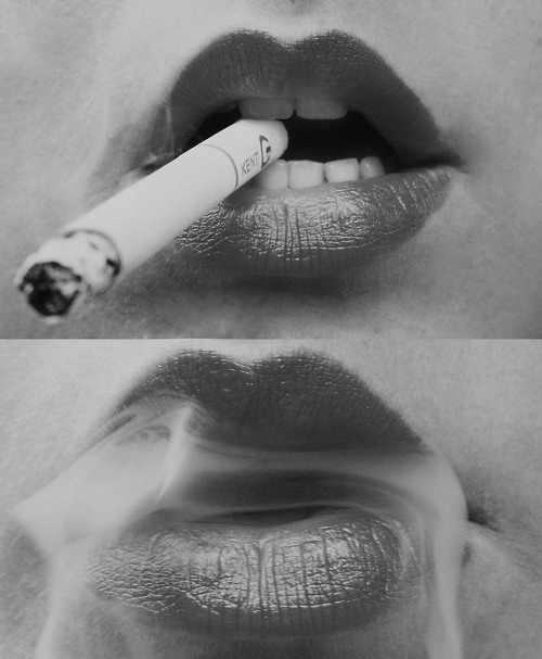 s-a-t-a-n-i:  toast-to-hell:  .  Color blog 