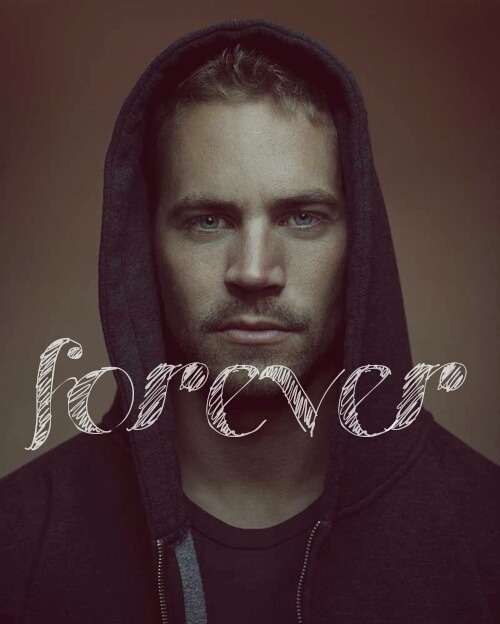 XXX luciaospina:  paul walker :’( photo