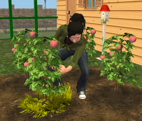 I Was Hoping To Start Selling Some Of My Fruits And Veggies From The Garden In The Shop, But None Of